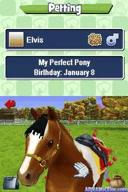 Image n° 3 - screenshots : Pony Friends - Mini Breeds Edition (v01)